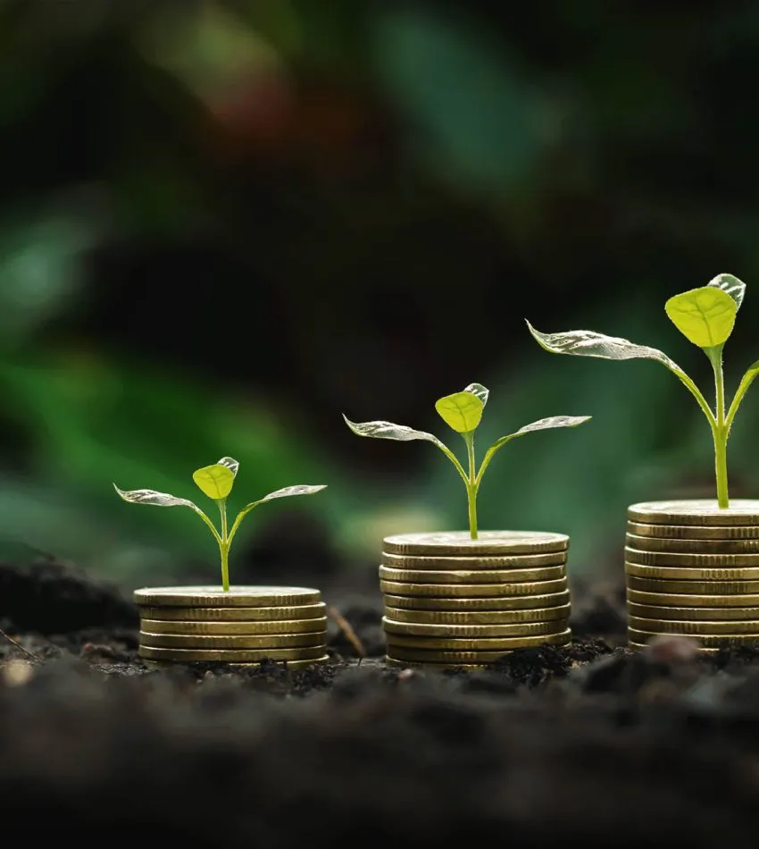 coins stack with step growing plant and sunshine background. con | Safeguard Estate and Financial Planning