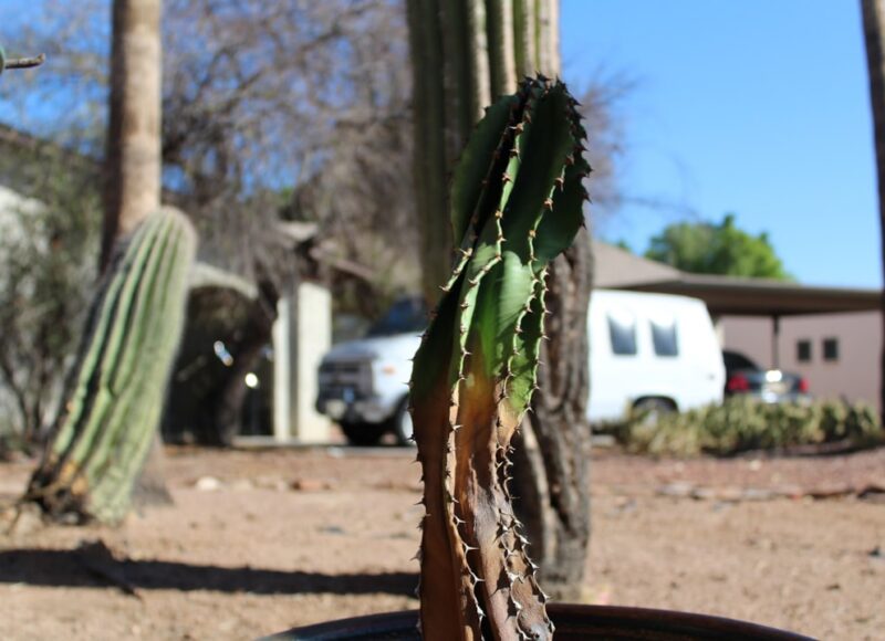 How Does a Family Trust Work in Arizona? Your Complete Guide