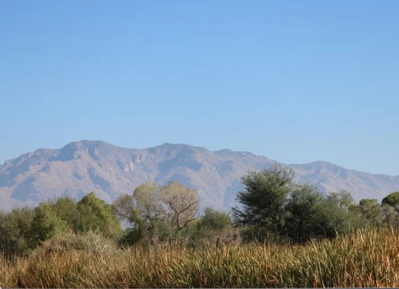 Estate Planning Tucson: Finding Your Perfect Legal Partner