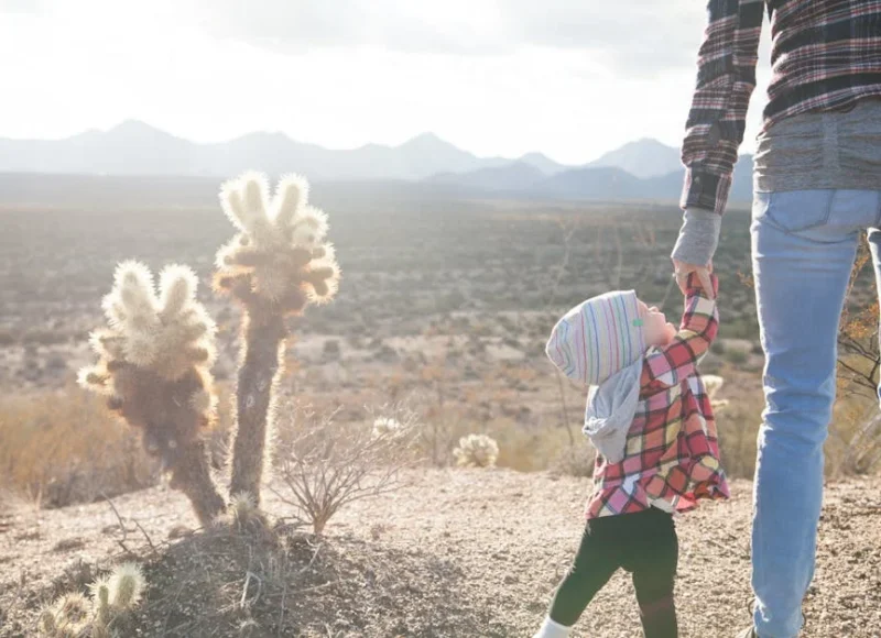 The Ins and Outs of Arizona Probate Avoidance