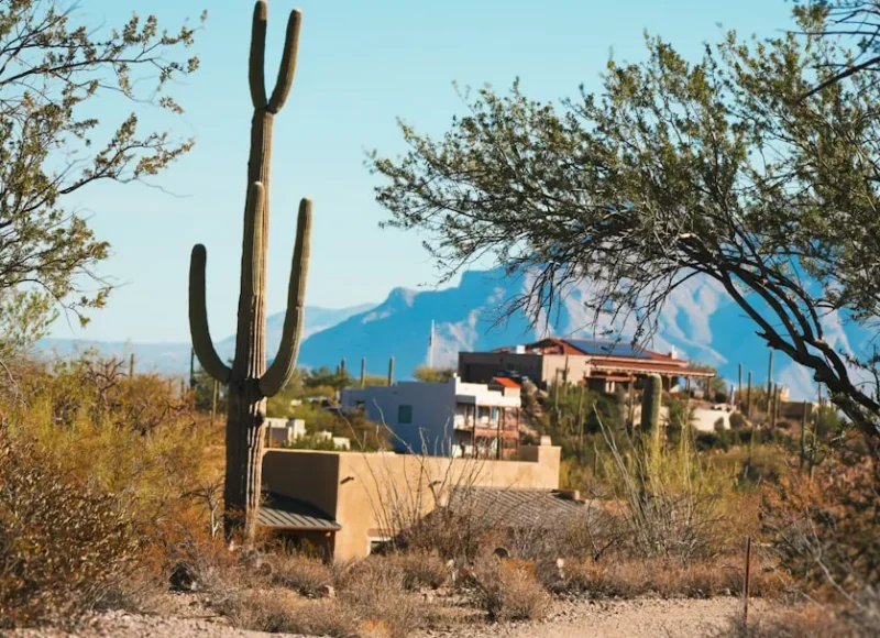 Looking for Estate Planners Near Me? What Arizona Families Must Know